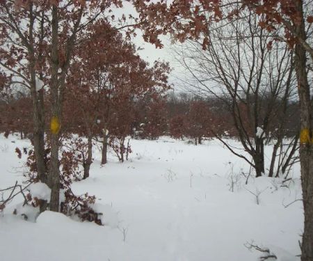 Horsemans Campground