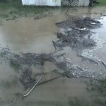 Biltmore Estates MHC