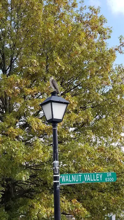 Village of North Oak 1