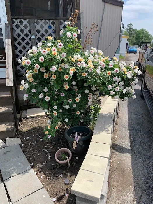 Southern Hills Mobile Home Park 5