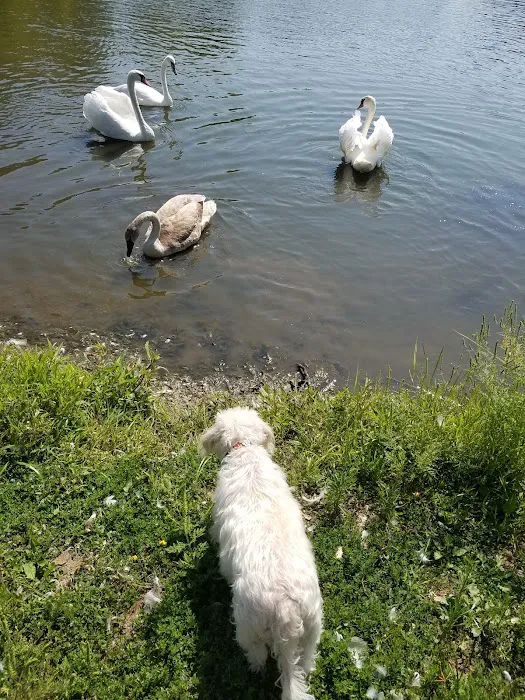 Sports Lake Campground 6