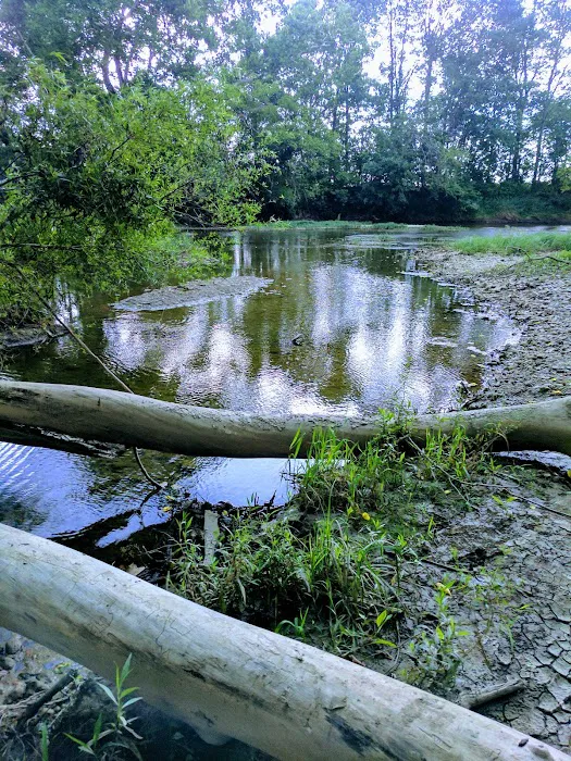 Marbrook Campground 4