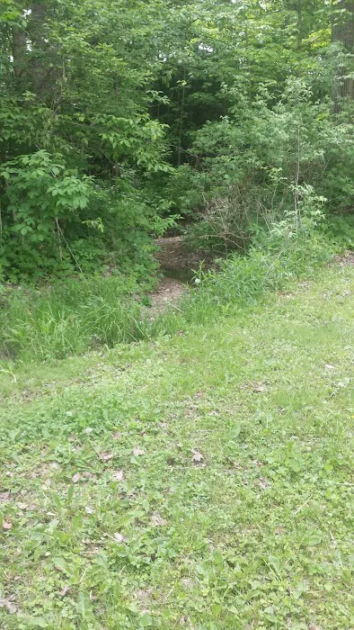 Marbrook Campground 8