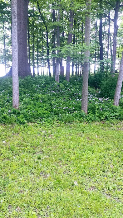 Marbrook Campground 10