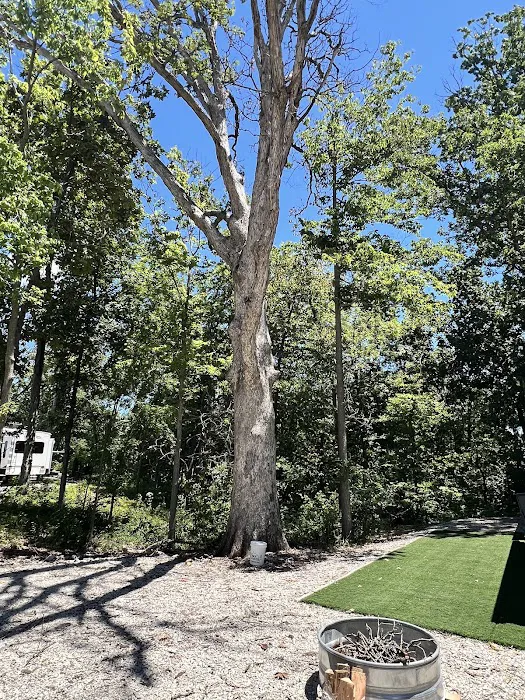 Oak Terrace RV Resort 7