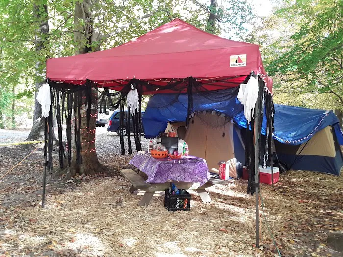 Campground 1