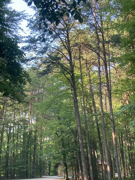 Poplar Grove Campground 2