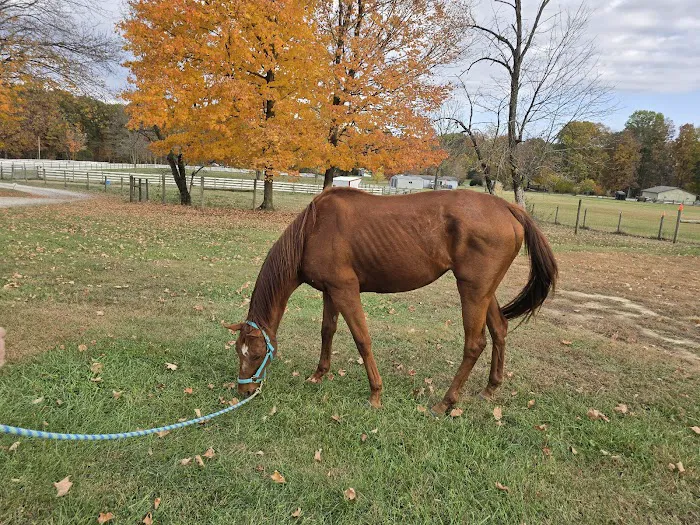 SILVER FEATHER ACRES 1