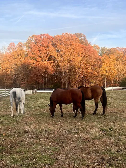 SILVER FEATHER ACRES 10