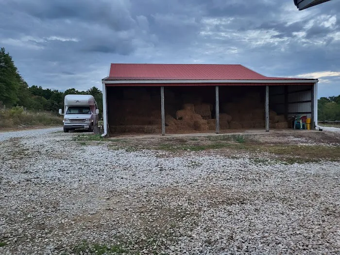 SILVER FEATHER ACRES 6