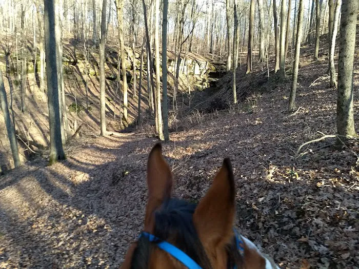 Horseman's Campground 1