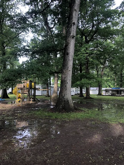 Woodland Family Camp 5
