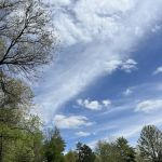 Pinicon Ridge Park Campground