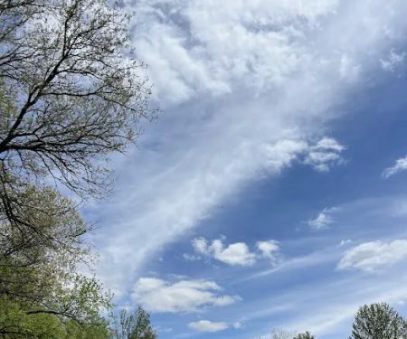 Pinicon Ridge Park Campground