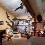 Delaware County Conservation