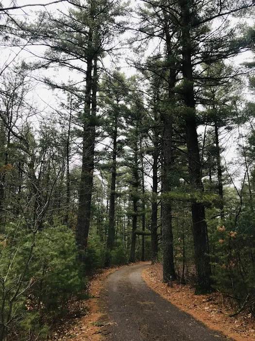 Camp Wawbeek - Easter Seals Wisconsin Camps 6