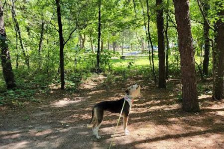 Sherwood Forest Camping & RV Park