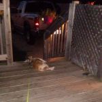 University Village Heights