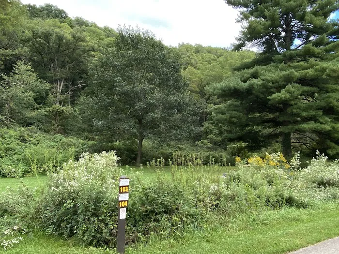 Little Paint Campground 5
