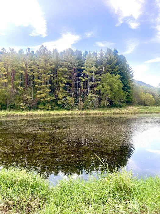 Little Paint Campground 10