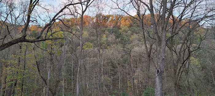Big Paint Campground 2