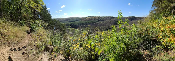 Big Paint Campground 6