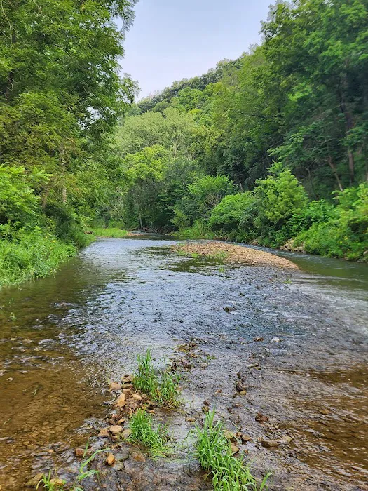 Big Paint Campground 8