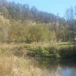 Pine Bluff Camp Sites LLC