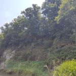 Scenic View Campground