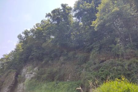 Scenic View Campground