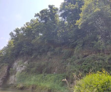Scenic View Campground