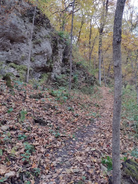 Bloody Run County Park 10