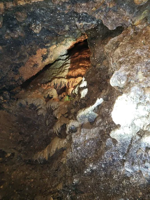 Spook Cave & Campground 5