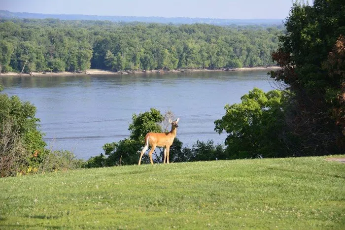 Spring Lake Campground 3