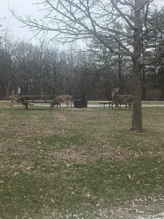 Argyle Lake State Park Campground 9