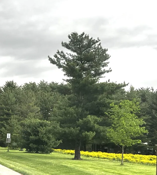 Argyle Lake State Park Campground 7