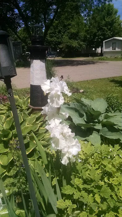 Evergreen Park 6