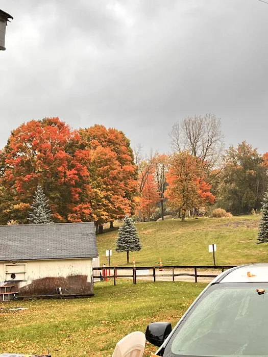 Miller Lake Campground 1
