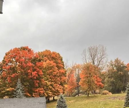 Miller Lake Campground