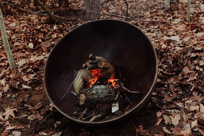 The Woods Luxury Camping 9
