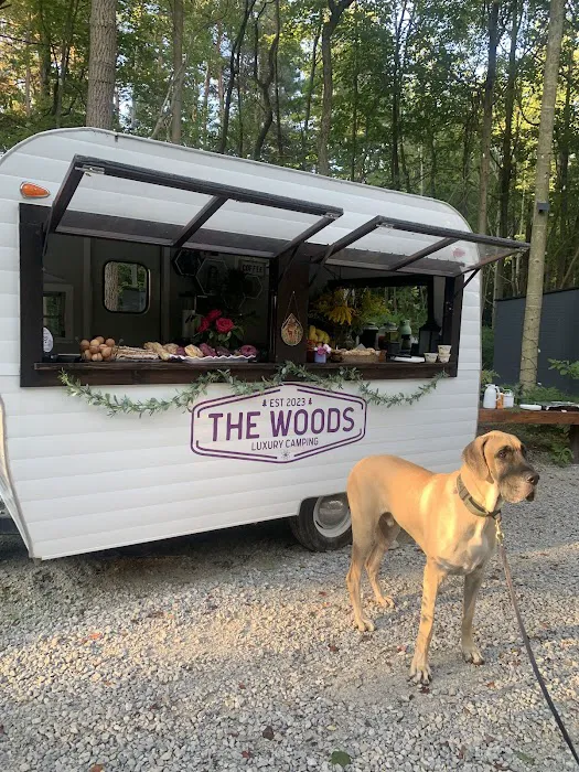 The Woods Luxury Camping 3