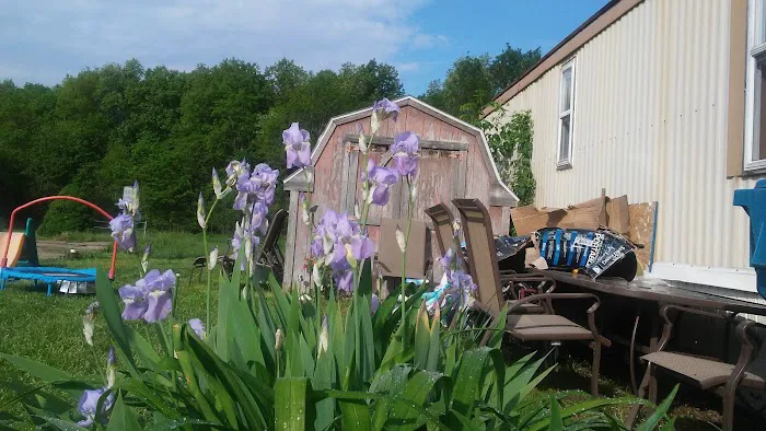 Andrews Estates Mobile Home Park 3