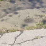 Andrews Estates Mobile Home Park