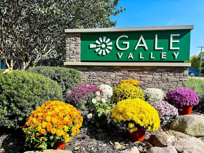 Gale Valley 9