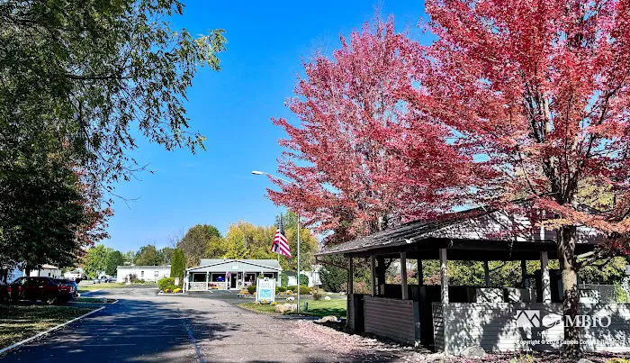 Gale Valley 6