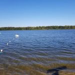 White’s Place Campground