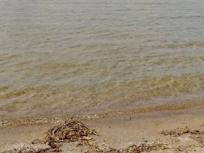 Public Beach And Playground 1
