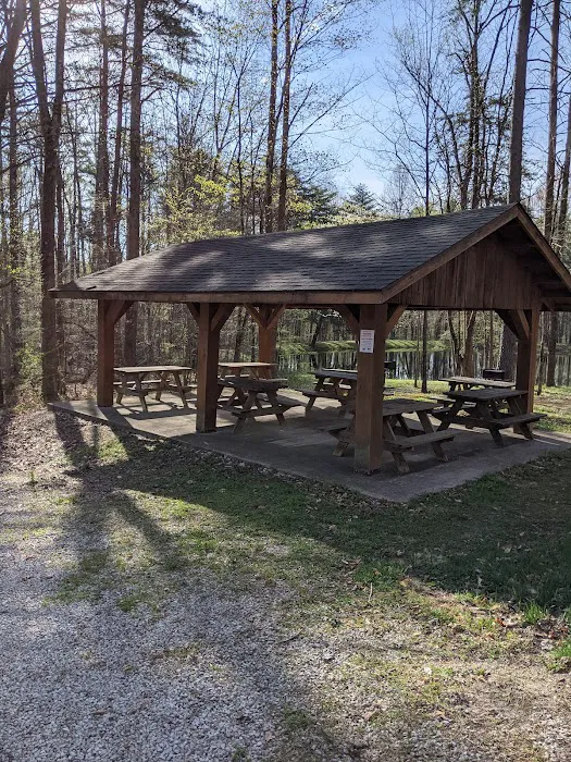 Owen-Putnam State Forest 3