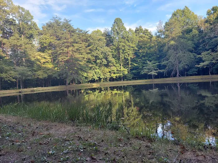 Owen-Putnam State Forest 9