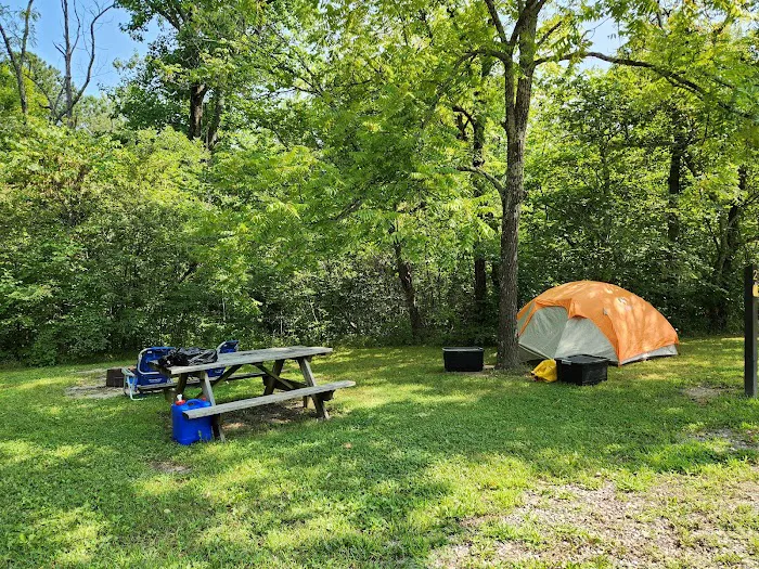 Owen-Putnam State Forest 6